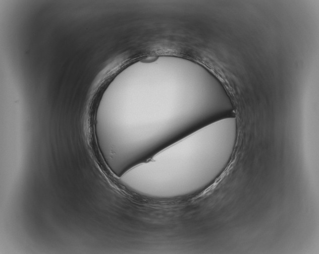 X0000108480245200904031125