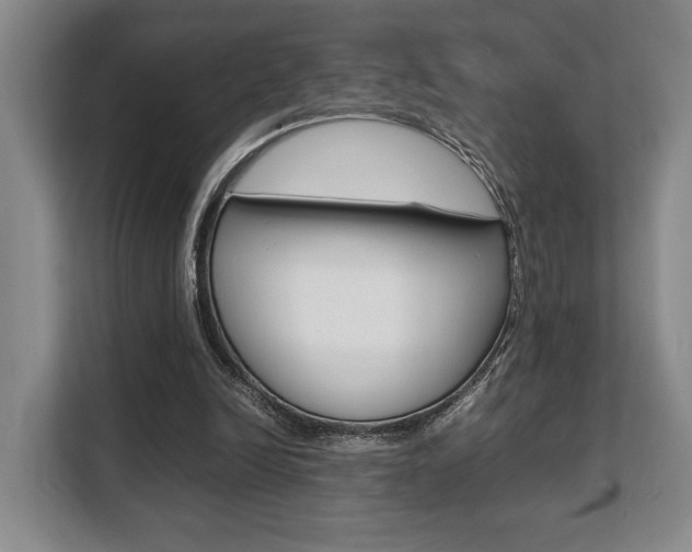 X0000108480246200904031125