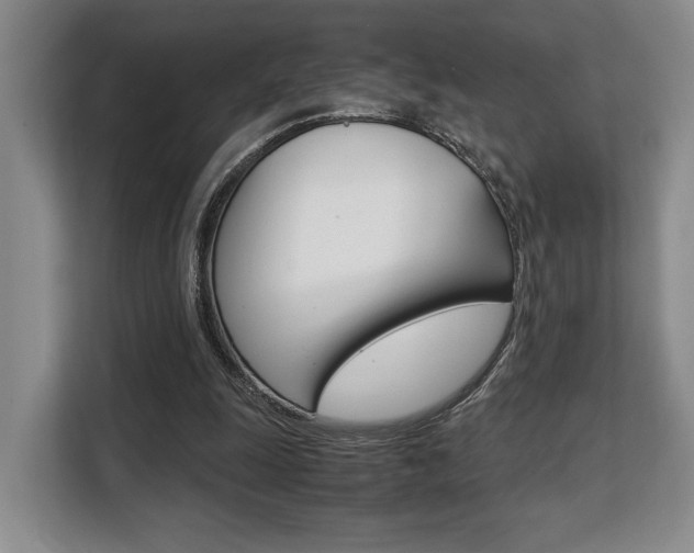 X0000108480247200904031125