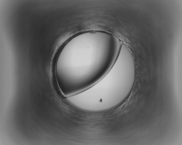 X0000108480248200904031125