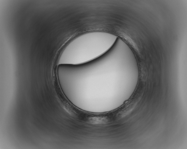 X0000108480251200904031125