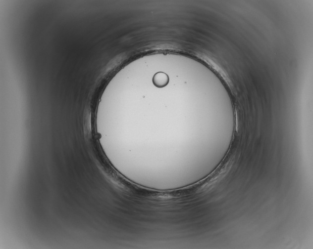 X0000108480253200904031125