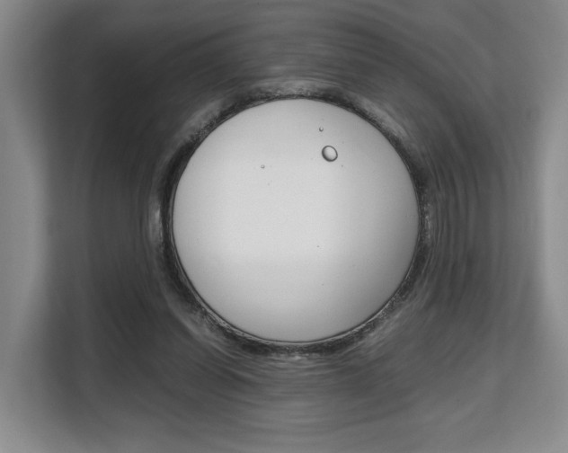 X0000108480254200904031125