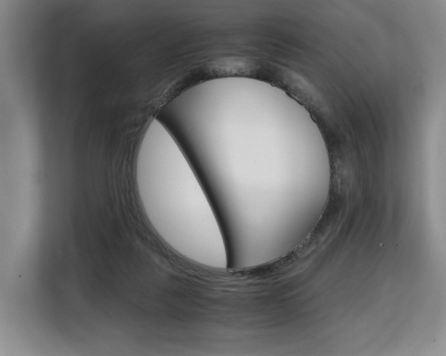X0000108480259200904031125