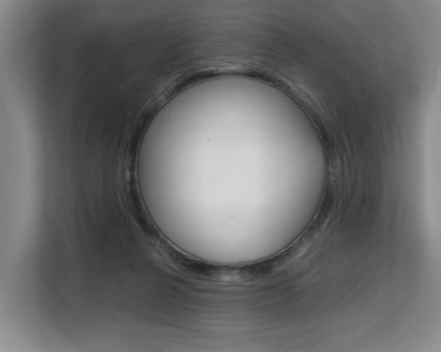 X0000108480264200904031125