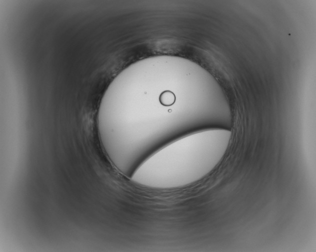 X0000108480271200904031125