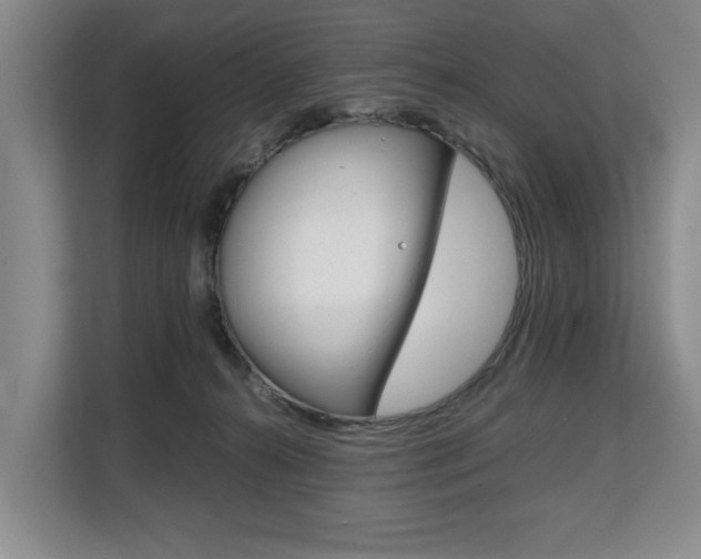 X0000108480272200904031125