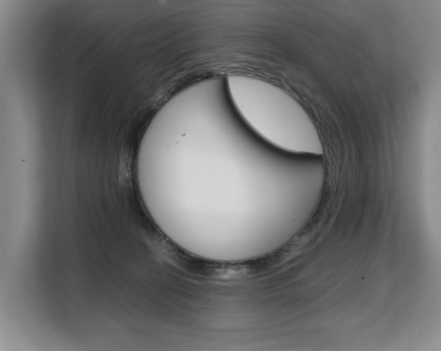 X0000108480274200904031125