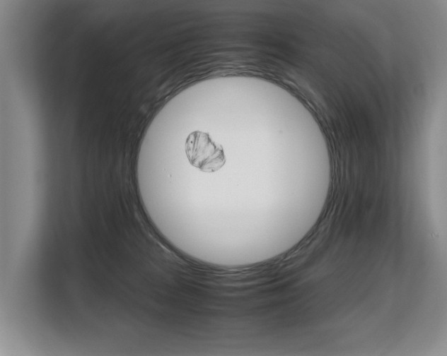 X0000108480277200904031125