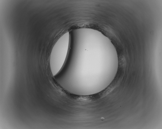 X0000108480280200904031125