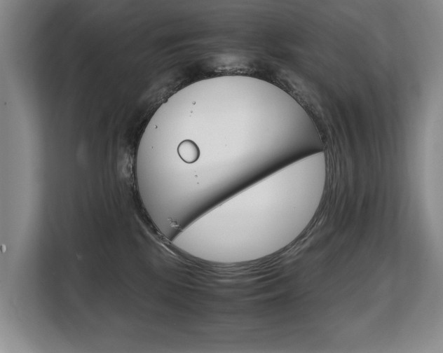 X0000108480281200904031125