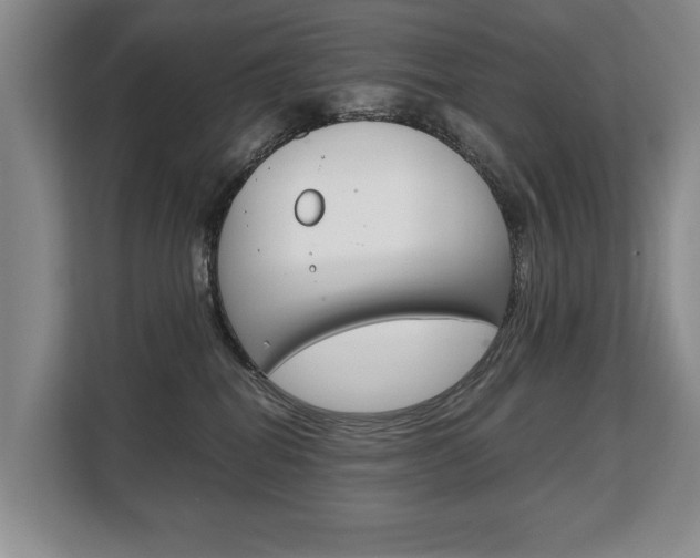 X0000108480282200904031125