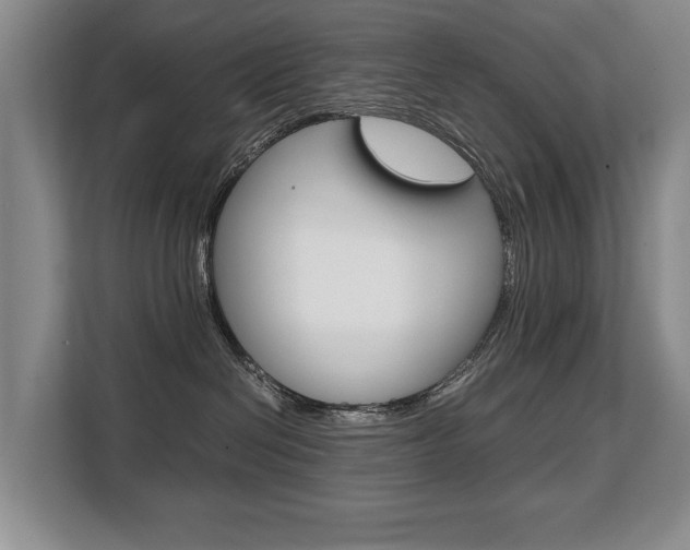 X0000108480286200904031125