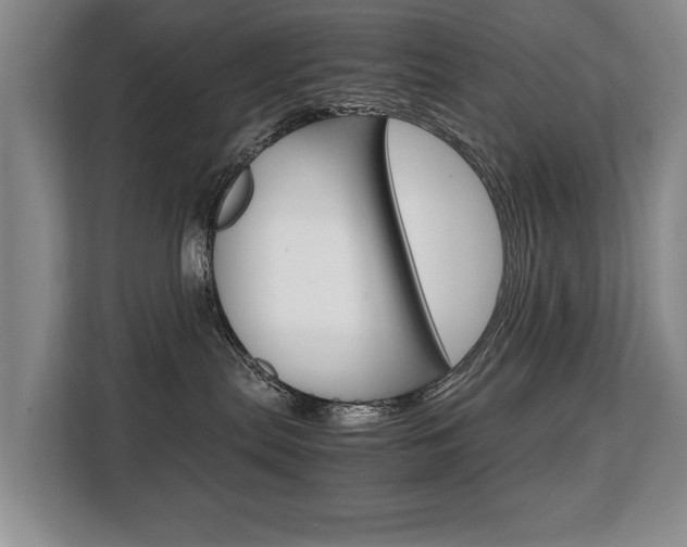 X0000108480287200904031125