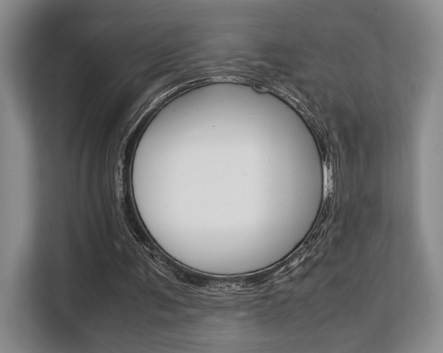 X0000108480291200904031125