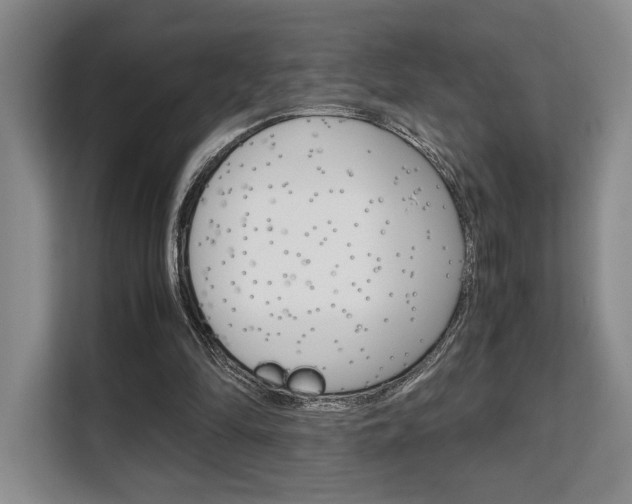X0000108480294200904031125