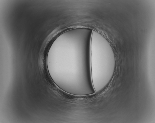 X0000108480295200904031125