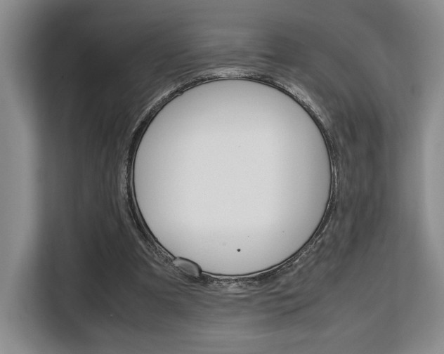 X0000108480297200904031125