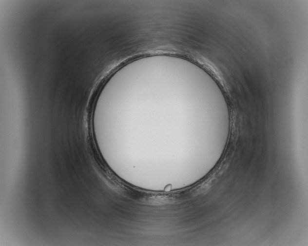 X0000108480298200904031125