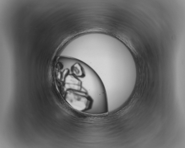 X0000108480300200904031125