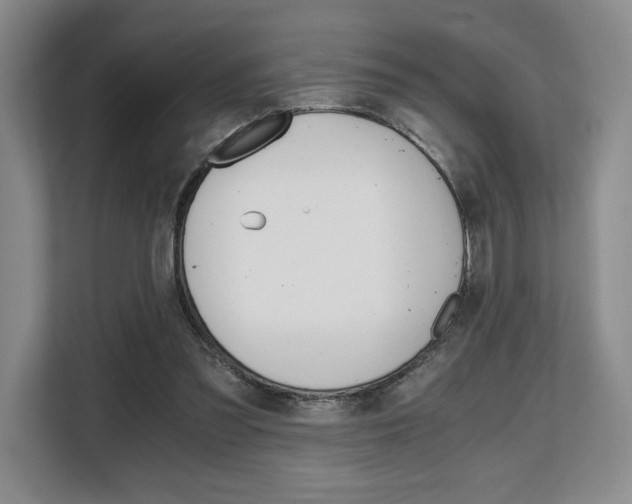 X0000108480301200904031125