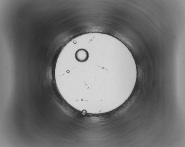 X0000108480302200904031125