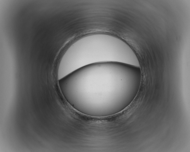 X0000108480304200904031125