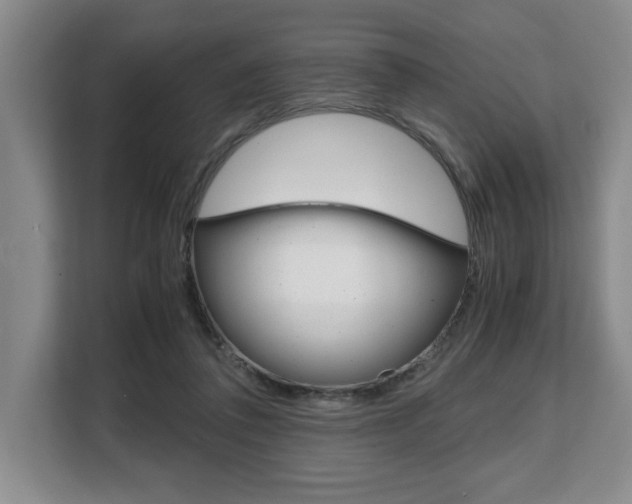 X0000108480308200904031125