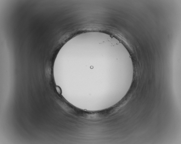 X0000108480309200904031125