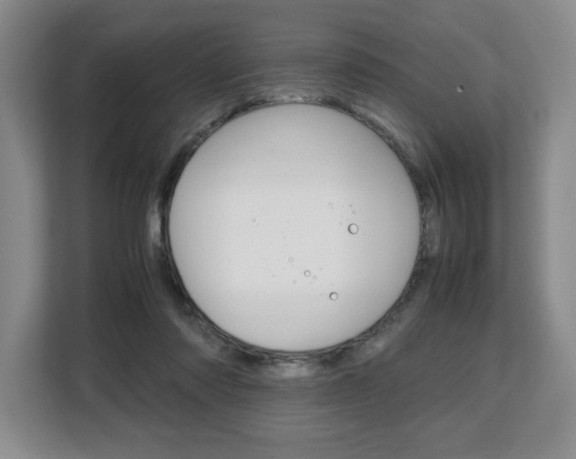 X0000108480310200904031125