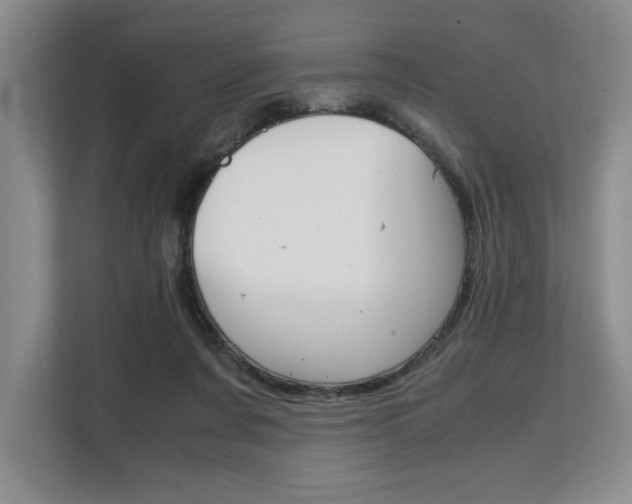 X0000108480311200904031125