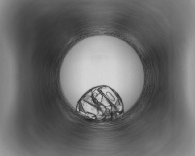 X0000108480312200904031125