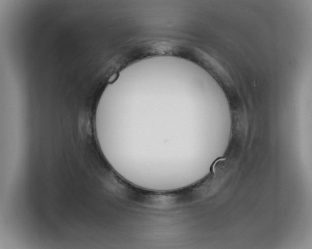 X0000108480313200904031125