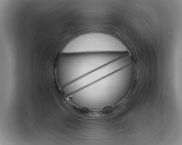 X0000108480316200904031125