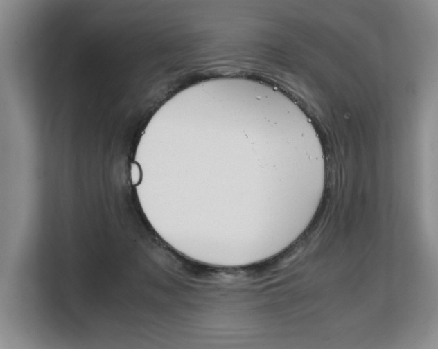 X0000108480317200904031125