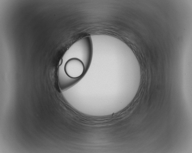 X0000108480319200904031124