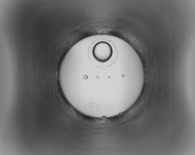 X0000108480321200904031124