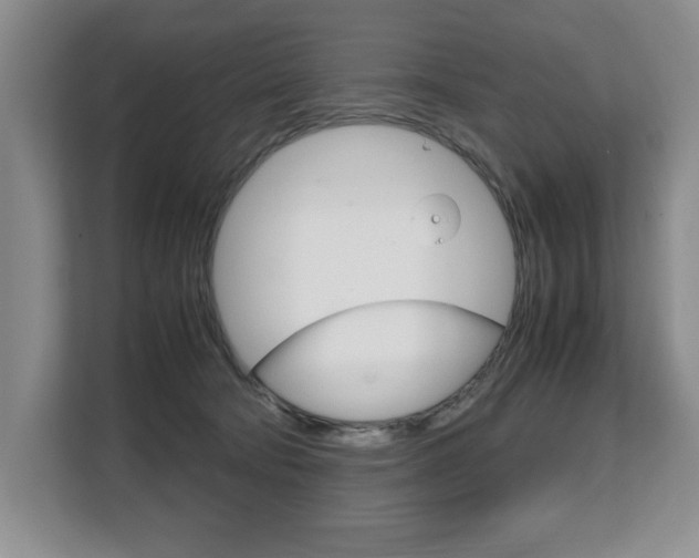 X0000108480322200904031124