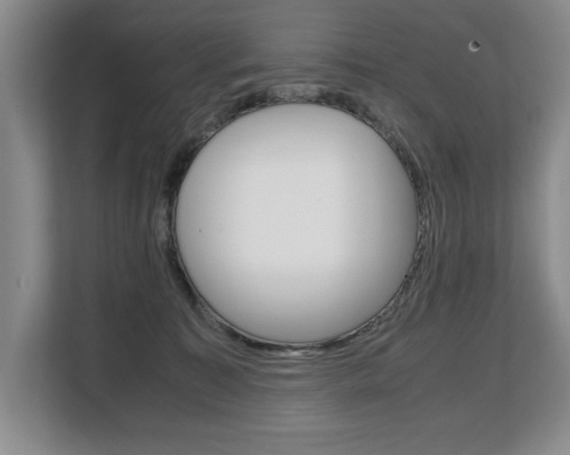 X0000108480323200904031124