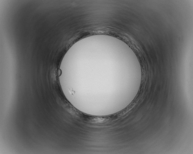 X0000108480326200904031124