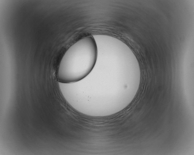 X0000108480327200904031124