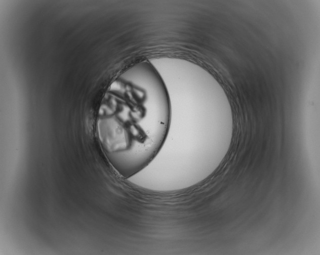 X0000108480328200904031124