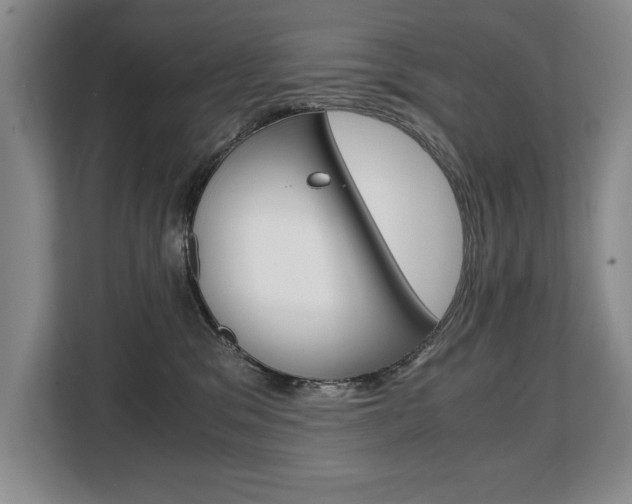 X0000108480329200904031124