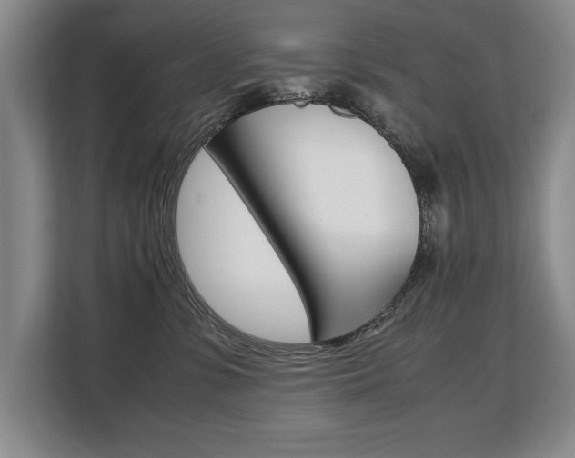 X0000108480331200904031124
