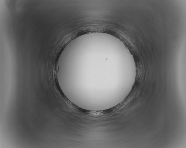 X0000108480333200904031124