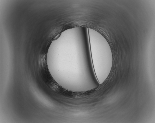 X0000108480335200904031124