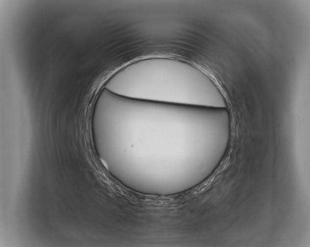 X0000108480337200904031124