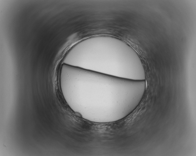 X0000108480339200904031124