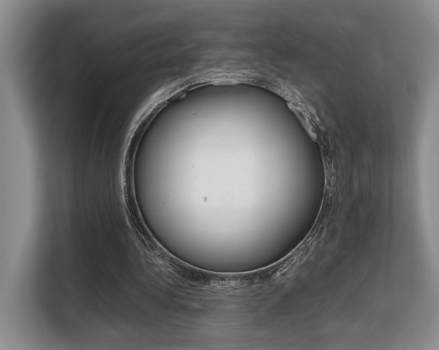 X0000108480340200904031124