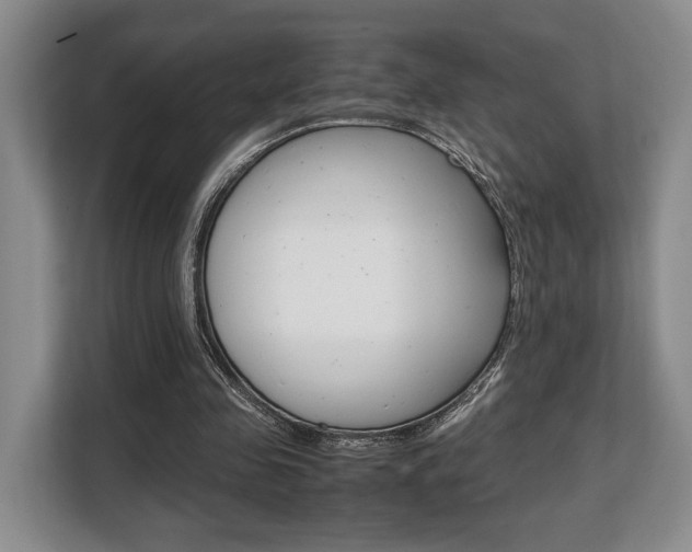 X0000108480341200904031124